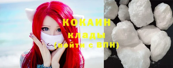 Альфа ПВП Каменка