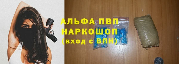 гашик Карталы