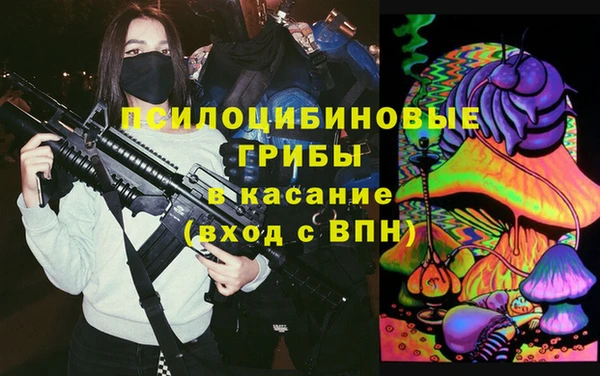 гашик Карталы