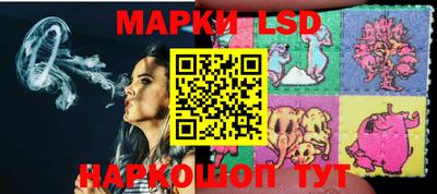 гидропоника Камышлов