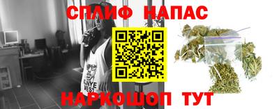 гидропоника Камышлов