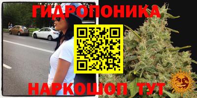 гидропоника Камышлов