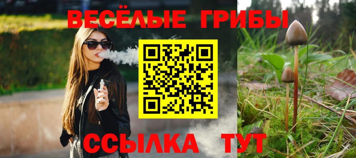 Галлюциногенные грибы ЛСД Урай